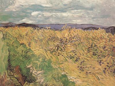 Vincent Van Gogh Whear Field with Cornflowers (nn04) France oil painting art